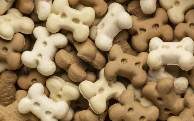 Cibo per animali